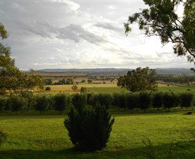 Wollundry Grove Olives - Accommodation Coffs Harbour 1