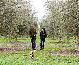 Wollundry Grove Olives - Accommodation Coffs Harbour 3