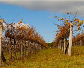 Charles Sturt University Winery Wagga Wagga - Accommodation Coffs Harbour 3