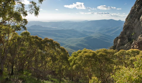 Kaputar Scenic Drive - Accommodation Coffs Harbour 1