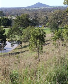 Mt Piper Nature Conservation Reserve - Accommodation Coffs Harbour 1