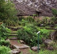 Burrendong Botanic Garden and Arboretum - Accommodation Coffs Harbour