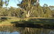 Benalla Golf Club - thumb 5