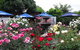 Canowindra Trading Post - thumb 2