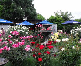 Canowindra Trading Post - Accommodation Coffs Harbour 2