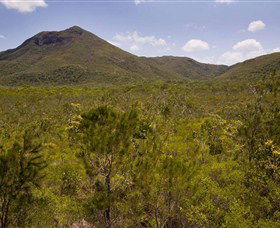 Kutini-Payamu (Iron Range) National Park (CYPAL) - Accommodation Coffs Harbour 0