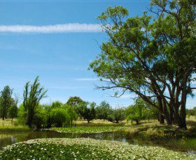 Burrumbuttock ACT Accommodation Coffs Harbour