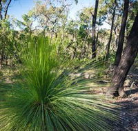 Brisbane Ranges National Park - Accommodation Coffs Harbour