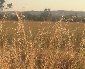 Springview Eco-Farm - Accommodation Coffs Harbour 3