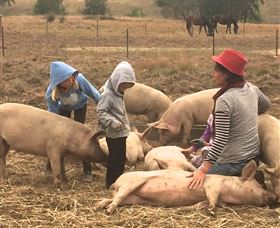 Springview Eco-Farm - Accommodation Coffs Harbour 2