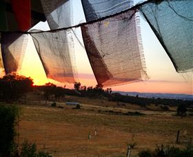 Springview Eco-Farm - Accommodation Coffs Harbour 4