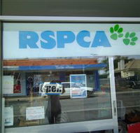 R.S.P.C.A Opportunity Shop - Accommodation Coffs Harbour