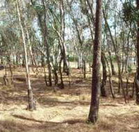 Chiltern-Mt Pilot National Park - Accommodation Coffs Harbour