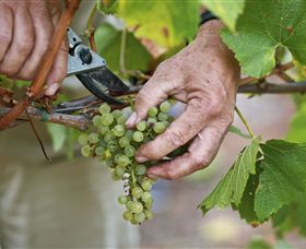 Austins & Co. - Accommodation Coffs Harbour 1