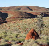 Camel Trail Millstream-Chichester National Park - Accommodation Coffs Harbour