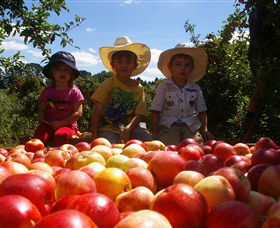 Bonny Glen Fruits - Accommodation Coffs Harbour 0