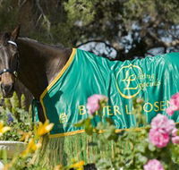 Living Legends The International Home of Rest for Champion Horses - Accommodation Coffs Harbour