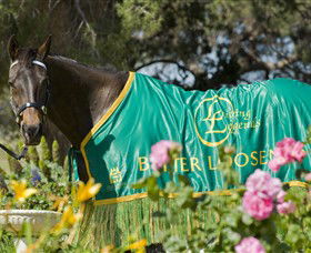 Living Legends: The International Home Of Rest For Champion Horses - Accommodation Coffs Harbour 0