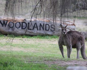 Living Legends: The International Home Of Rest For Champion Horses - Accommodation Coffs Harbour 1