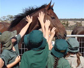 Living Legends: The International Home Of Rest For Champion Horses - Accommodation Coffs Harbour 4