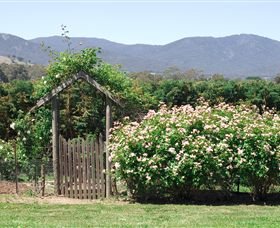 Samaria Farm - Accommodation Coffs Harbour 2