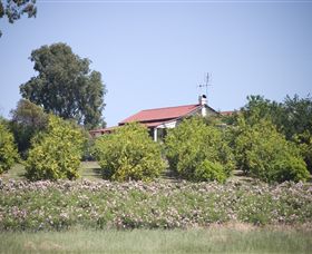 Samaria Farm - Accommodation Coffs Harbour 0