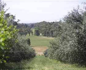 Samaria Farm - Accommodation Coffs Harbour 7
