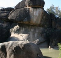 Cranky Rock Nature Reserve - Accommodation Coffs Harbour