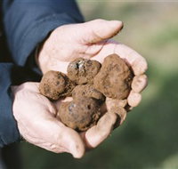 A Slice of Orange - Accommodation Coffs Harbour
