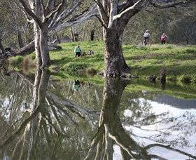 Wagirra Trail And Yindyamarra Sculpture Walk - Accommodation Coffs Harbour 1
