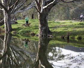 Albury - Murray River Precinct - Accommodation Coffs Harbour 3