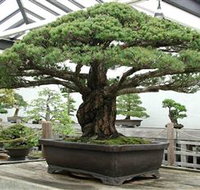 Peards Complex Albury - Accommodation Coffs Harbour