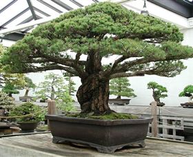 Peards Complex Albury - Accommodation Coffs Harbour 0