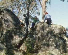 Mount Samaria State Park - Accommodation Coffs Harbour 0