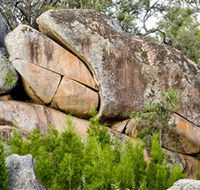 Frog Rock - Accommodation Coffs Harbour