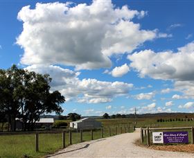 Short Sheep Micro-Winery - Accommodation Coffs Harbour 8