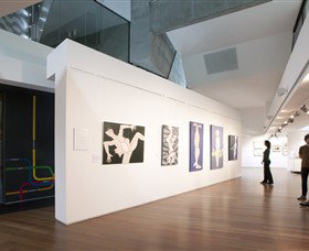 The Dax Centre - Accommodation Coffs Harbour 1