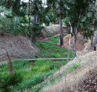 Lions Club Bicentennial Walk - Accommodation Coffs Harbour