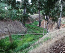 Lions Club Bicentennial Walk - Accommodation Coffs Harbour 0