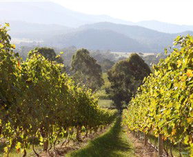 Pizzini Wines King Valley - Accommodation Coffs Harbour 3