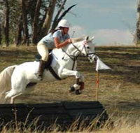 National Equestrian Centre - Kerrabee - Accommodation Coffs Harbour