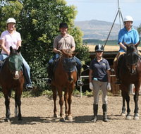 Forest Park Riding and Equitation School - Accommodation Coffs Harbour