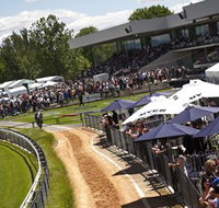Thoroughbred Park Canberra Racing Club - Horse Racing in the Nations Capital - Accommodation Coffs Harbour