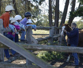 Harlow Park Horse Riding - Accommodation Coffs Harbour 0