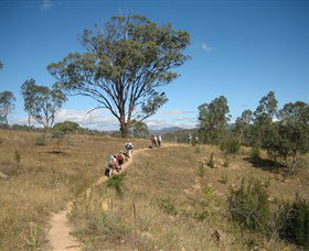 Kambah Pool To Pine Island - Accommodation Coffs Harbour 1