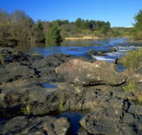 Kambah Pool to Pine Island - Accommodation Coffs Harbour