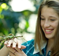 CSIRO Discovery Centre - Accommodation Coffs Harbour