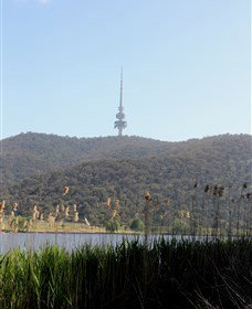 Black Mountain Peninsula - Accommodation Coffs Harbour 0