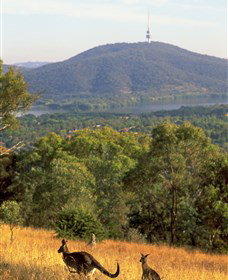 Canberra Centenary Trail - Accommodation Coffs Harbour 0