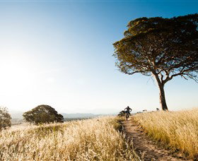 Canberra Centenary Trail - Accommodation Coffs Harbour 1